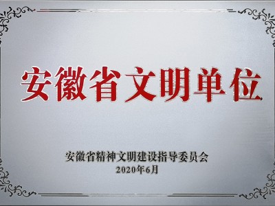 第十二届安徽省文明单位