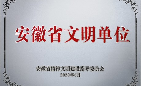 第十二届安徽省文明单位