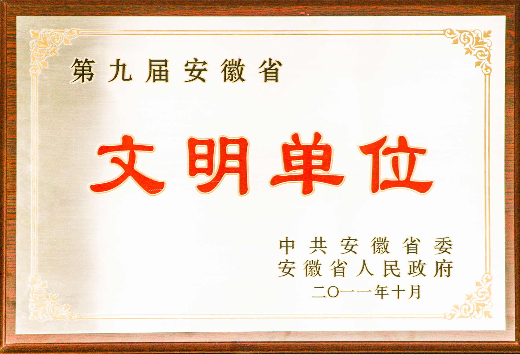 第九届安徽省文明单位
