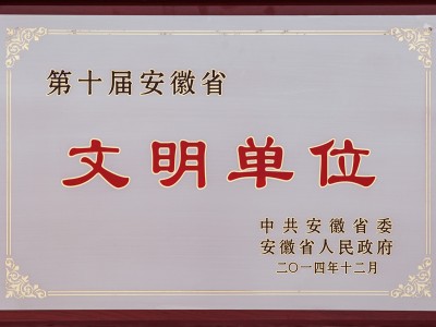 第十届安徽省文明单位